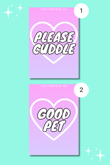 CONVENTION & ACCESSIBILITY BADGES